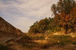 Túnez - Tunisia