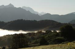 Picos de Europa